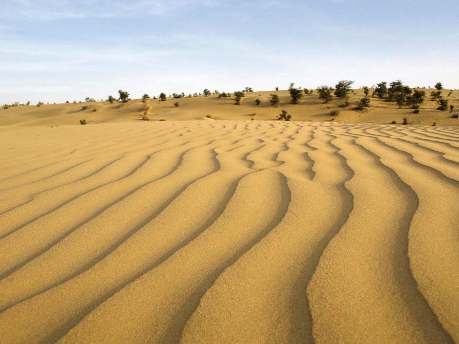 Sam Dunes Desert Luxury Camp & Resort Jaisalmer Buitenkant foto
